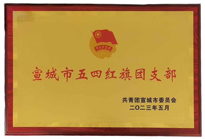 宣城市五四紅旗團支部2023年5月