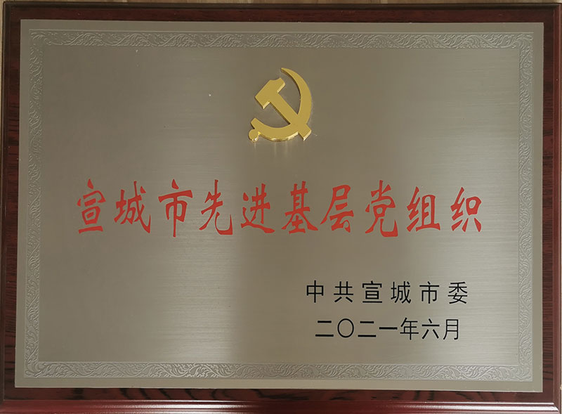 宣城市先進基層黨組織2021年